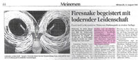 Zeitungsartikel Meinersen 8.8.2007